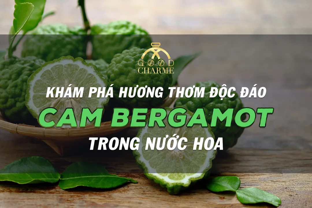 KHÁM PHÁ HƯƠNG THƠM ĐỘC ĐÁO CỦA CAM BERGAMOT TRONG NƯỚC HOA 