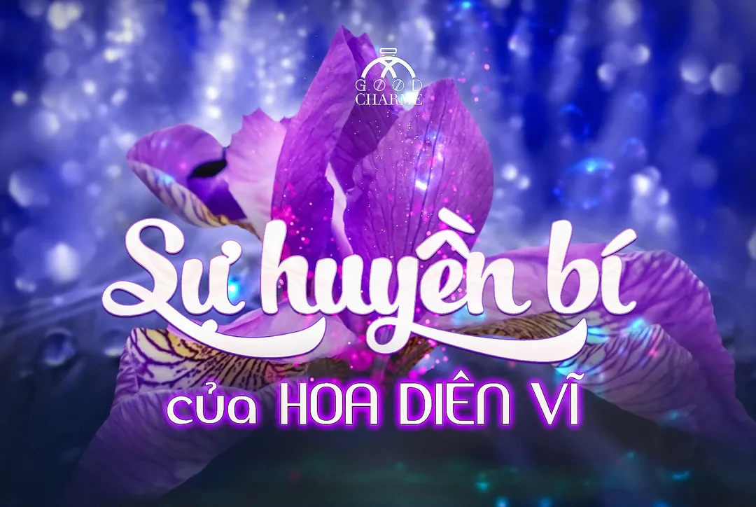 SỰ HUYỀN BÍ CỦA HOA DIÊN VĨ 